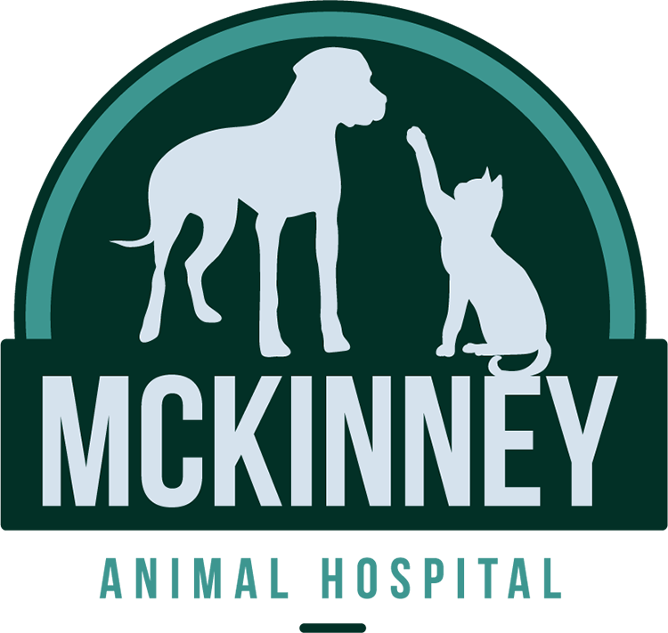 McKinney Animal Hospital