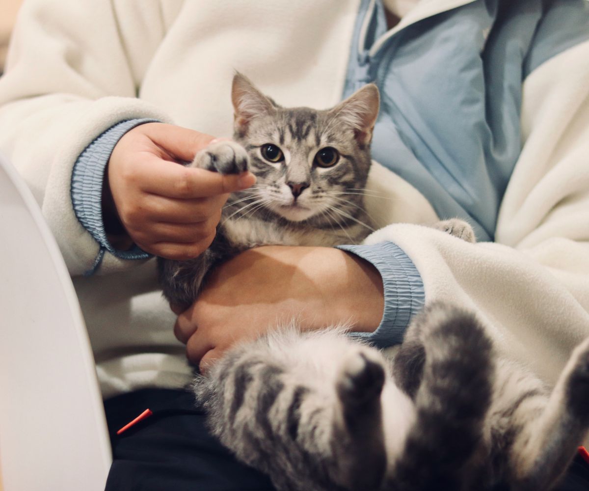 Vet House Calls<br />
