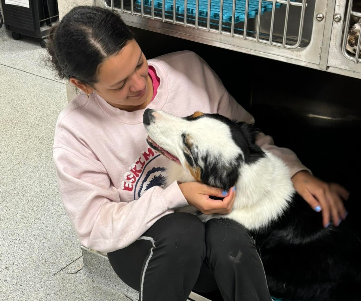 Tablet-displaying-a-cats-X-ray
