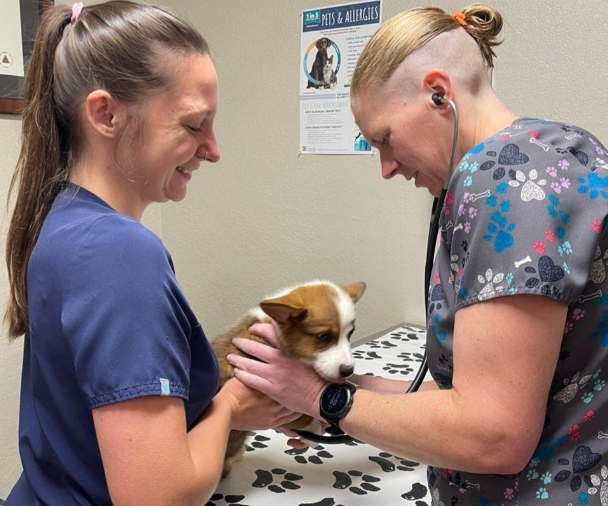 Pet Nutrition & Weight Loss